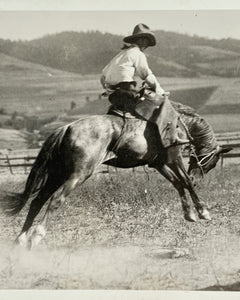 Cowboy on Bucking Horse RPPC