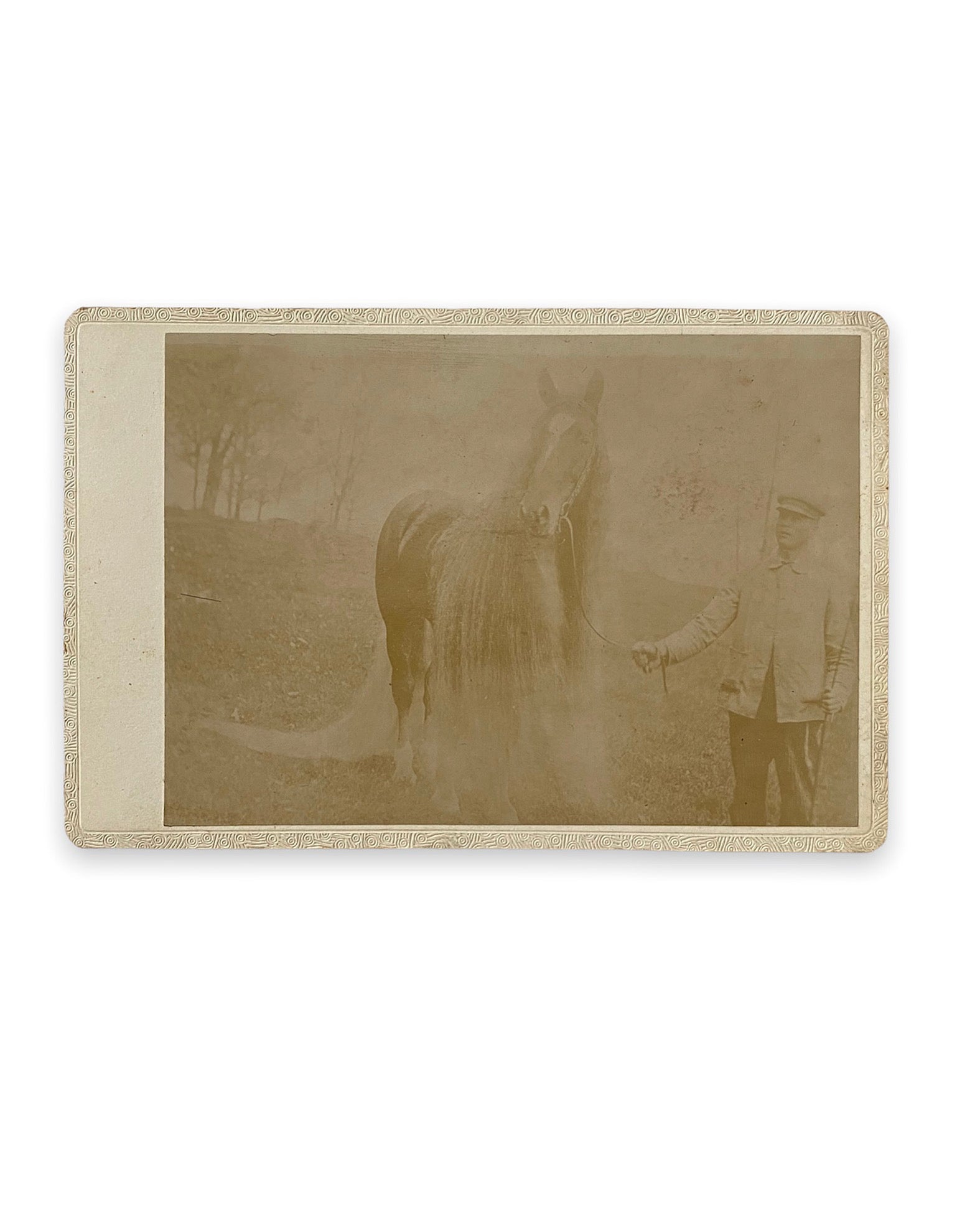 Oregon Wonder Horse Cabinet Card