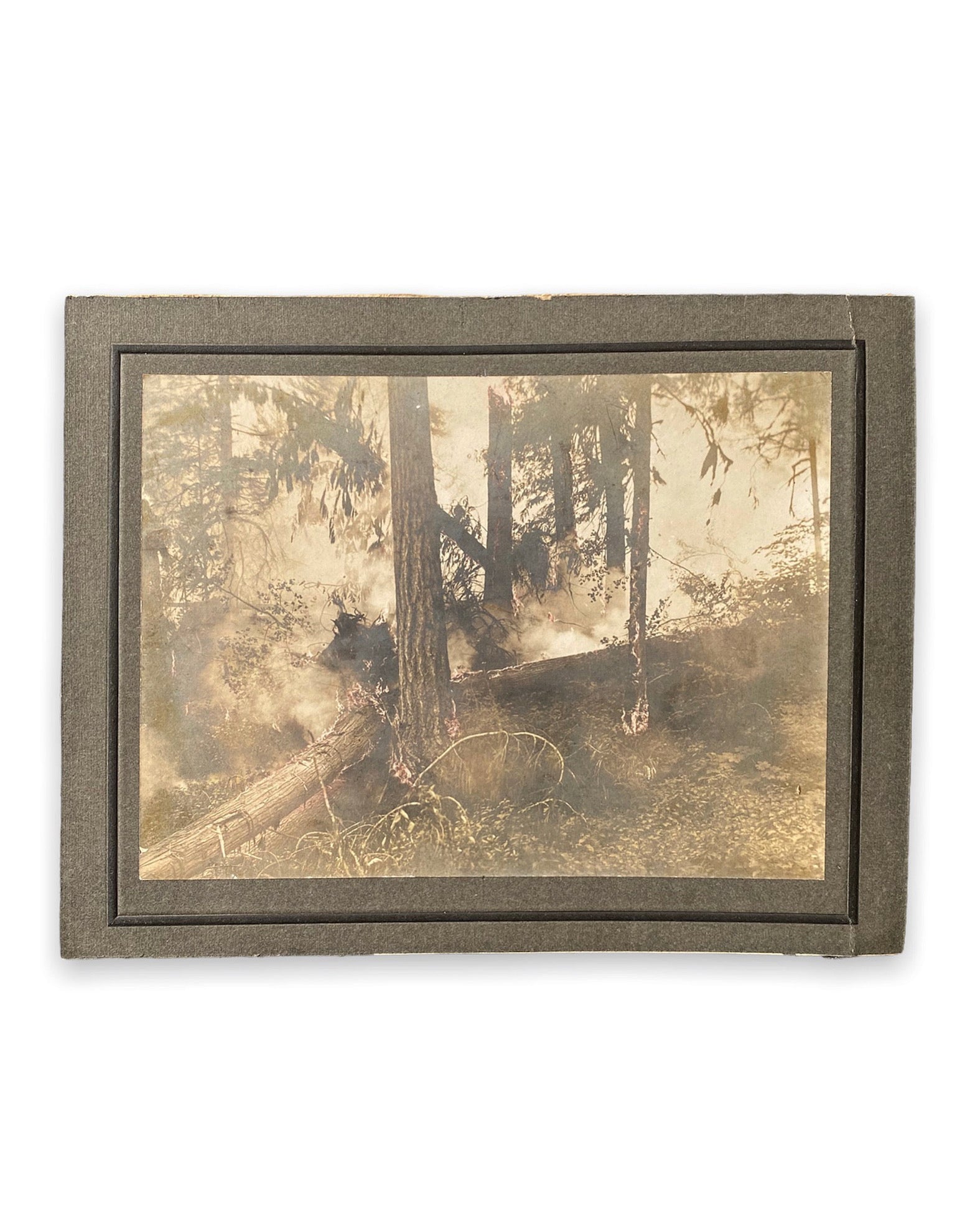 Forest Fire Cabinet Card