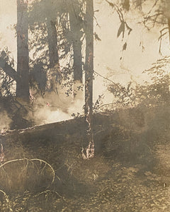 Forest Fire Cabinet Card