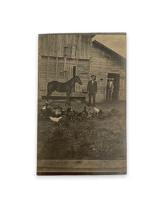 Farm Animal Family Portrait RPPC