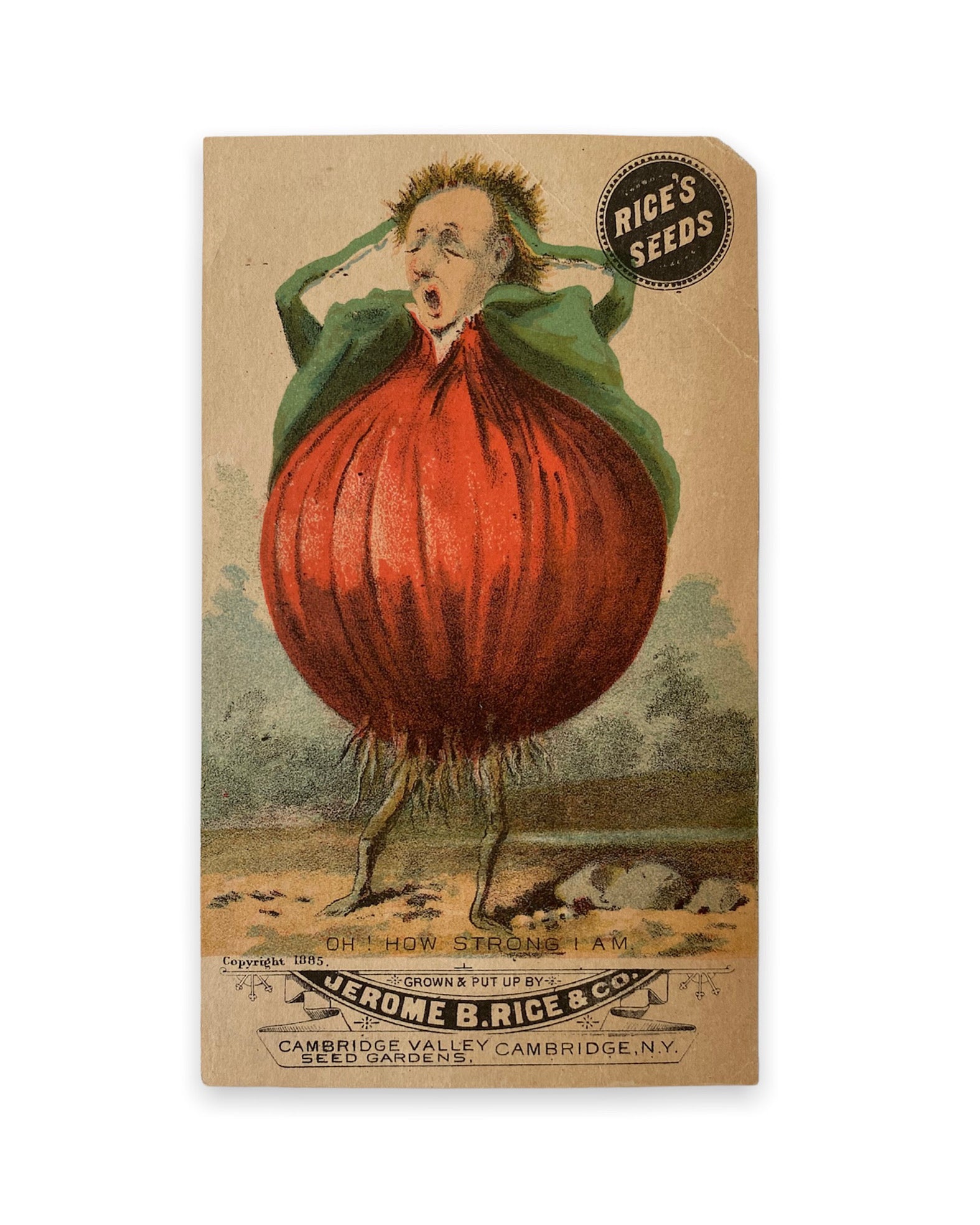 Onion Man Victorian Trade Card