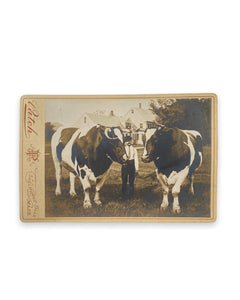 A Proud Man With His Oxen Cabinet Card